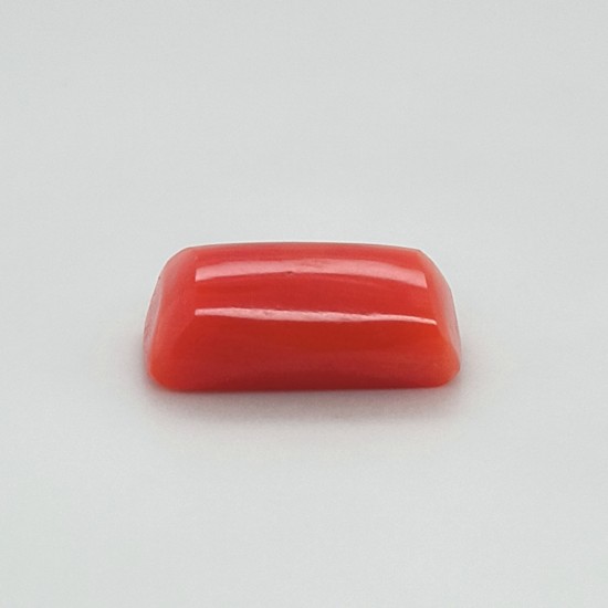 Coral (Moonga) 6.67 Ct Gem Quality Coral (Moonga) 6.67 Ct Gem Quality